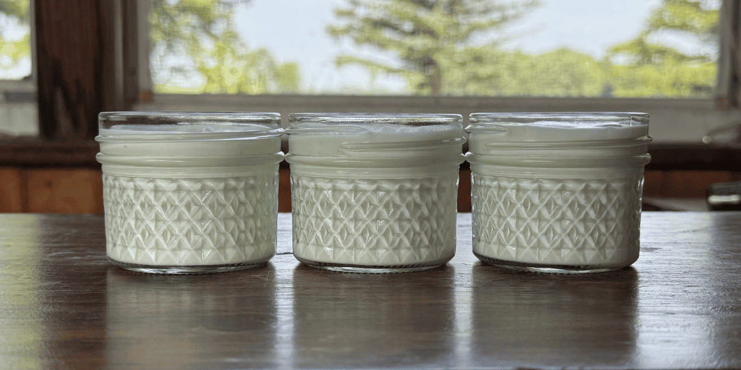 Yogurt Maker vs. Stovetop: The Easiest Homemade Yogurt Method